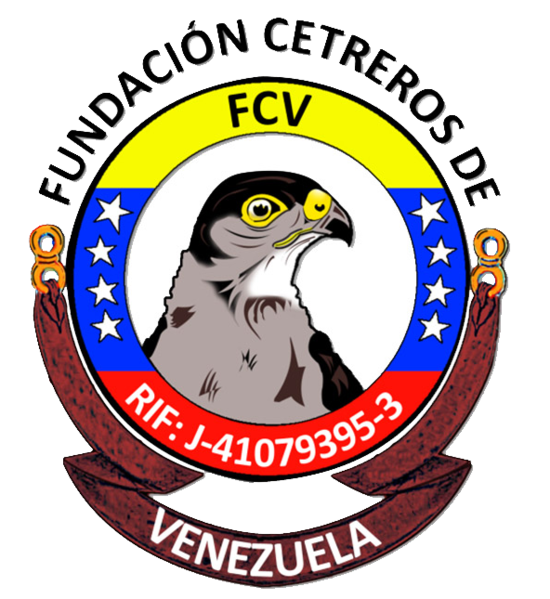 Logo FCV